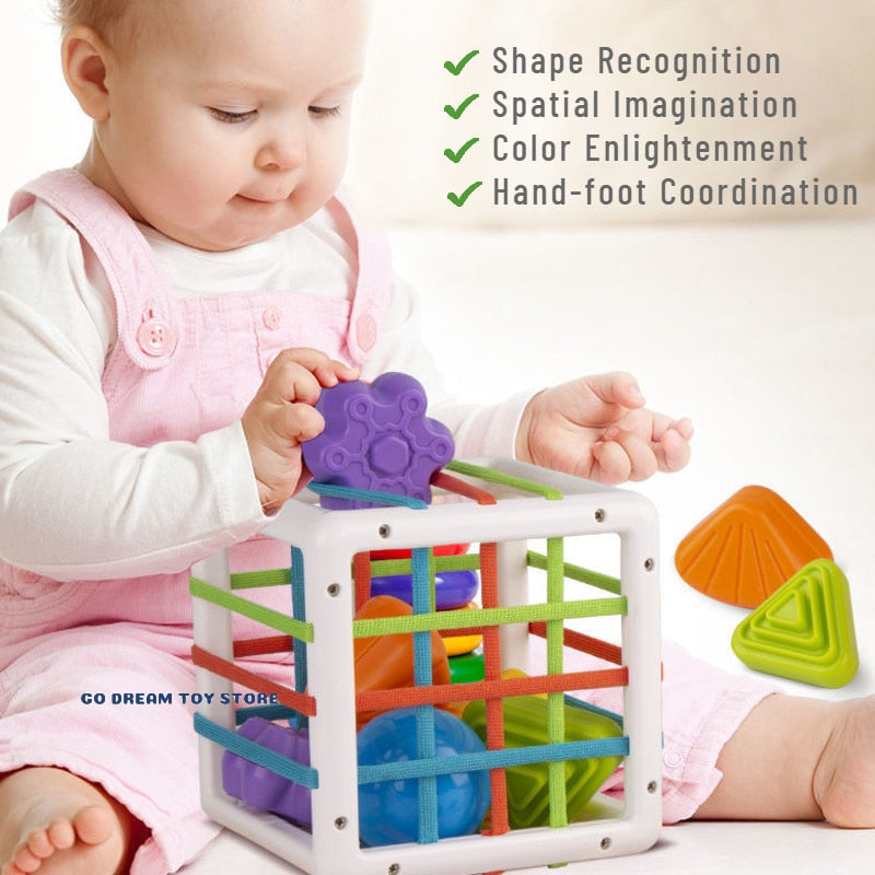 Colorful Sorting Learning Shape Blocks