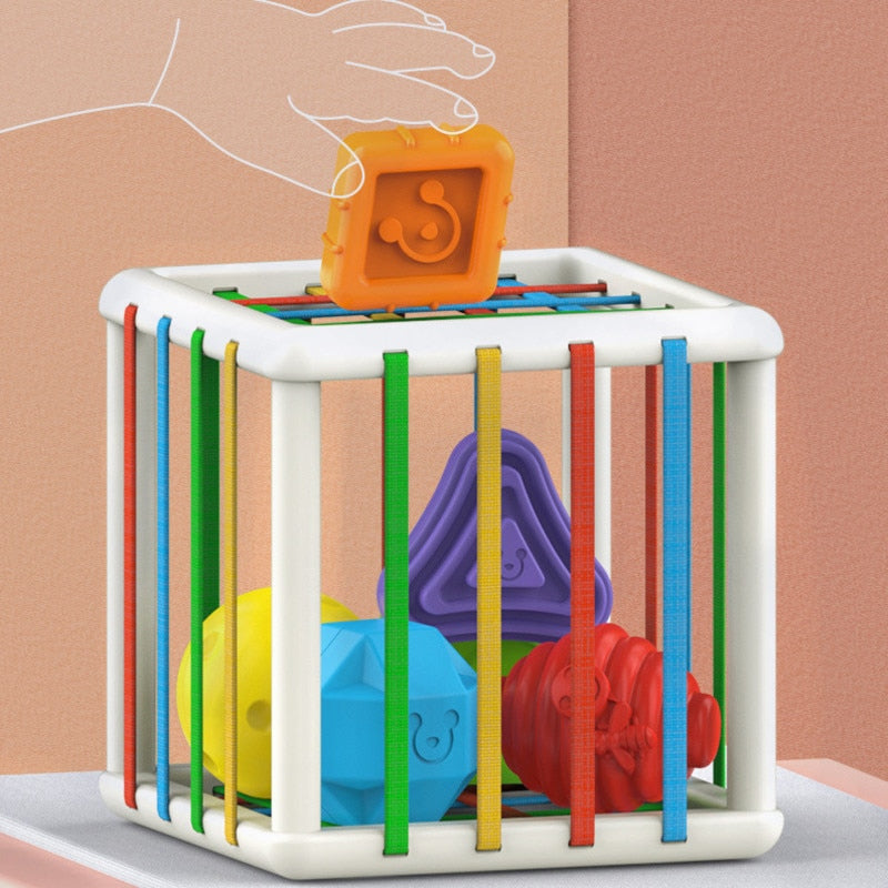 Colorful Sorting Learning Shape Blocks