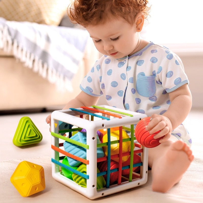 Colorful Sorting Learning Shape Blocks