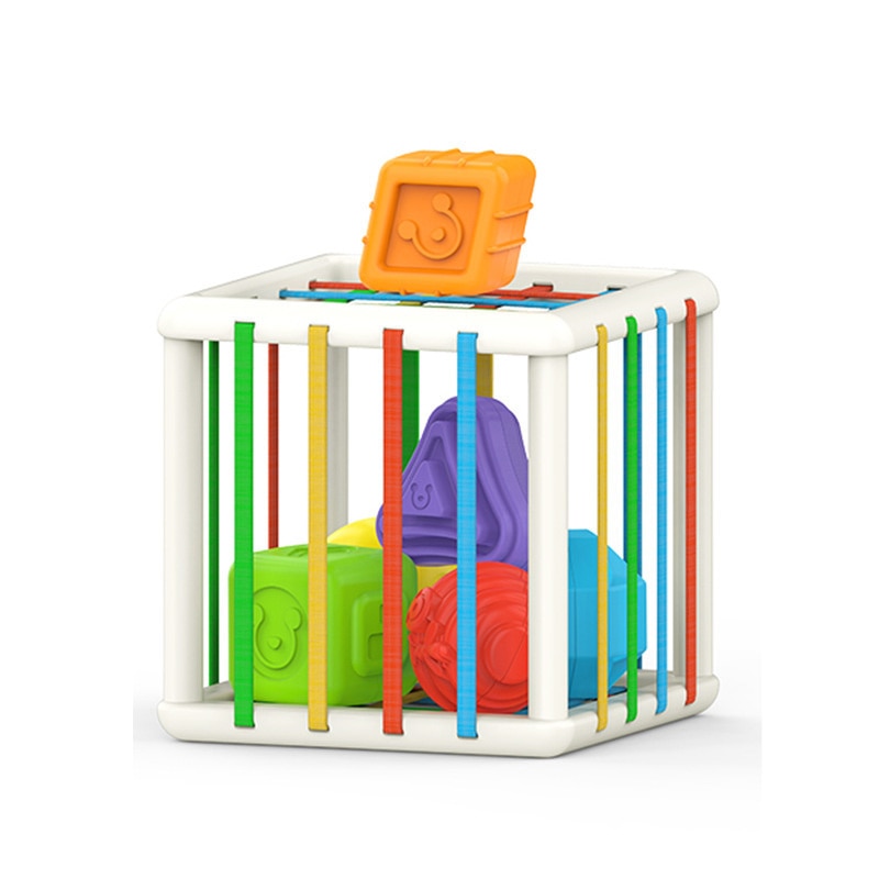 Colorful Sorting Learning Shape Blocks