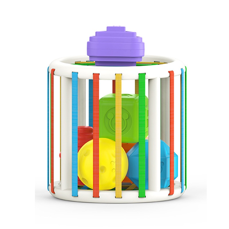 Colorful Sorting Learning Shape Blocks