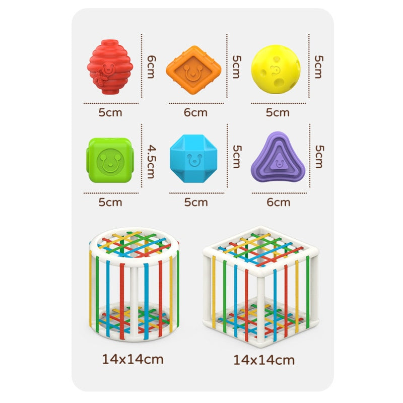 Colorful Sorting Learning Shape Blocks